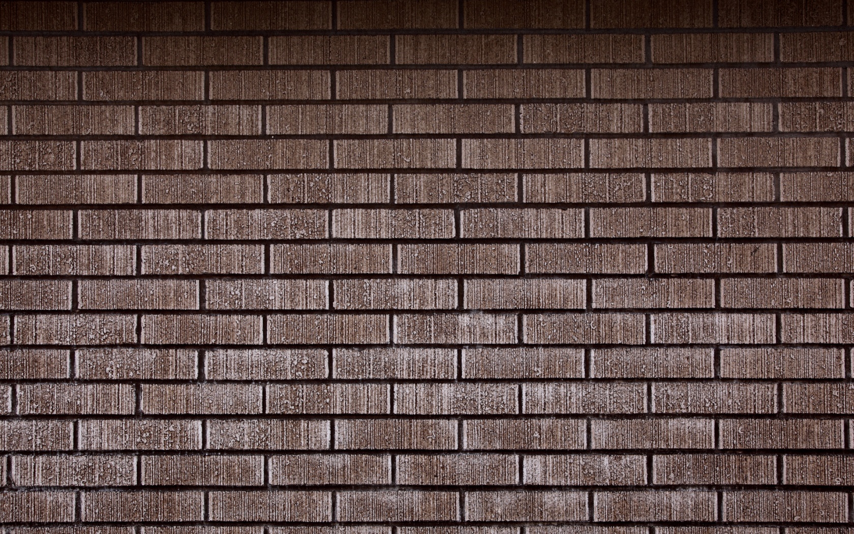 Texture