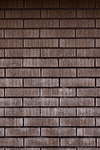 Texture