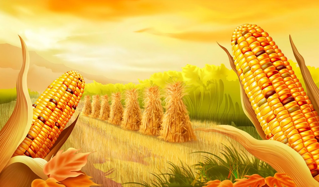 Thanksgiving Free Wallpaper