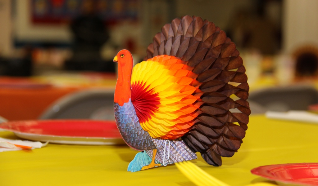 Thanksgiving Turkey Decorations