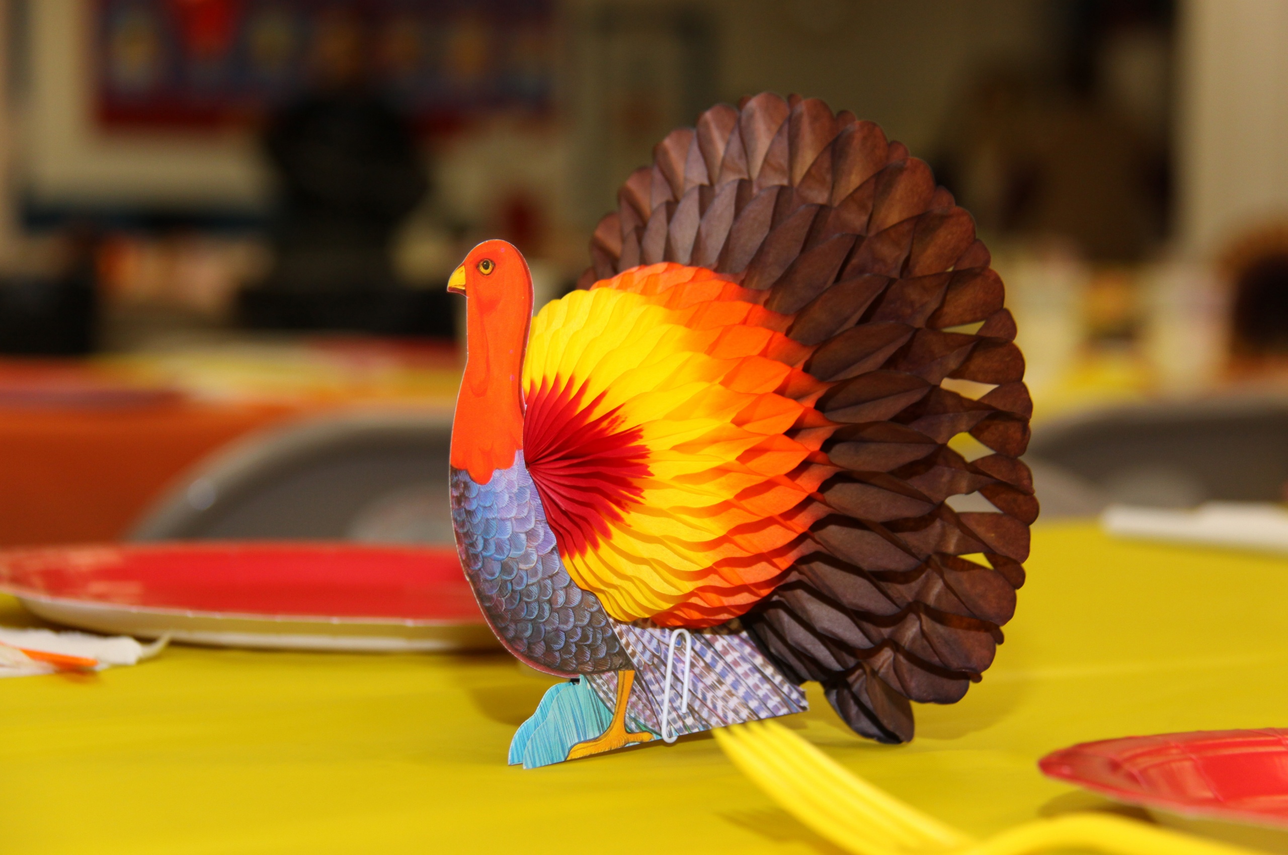 Thanksgiving Turkey Decorations