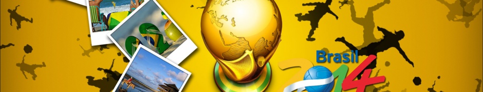 The 2014 FIFA World Cup - Brazil