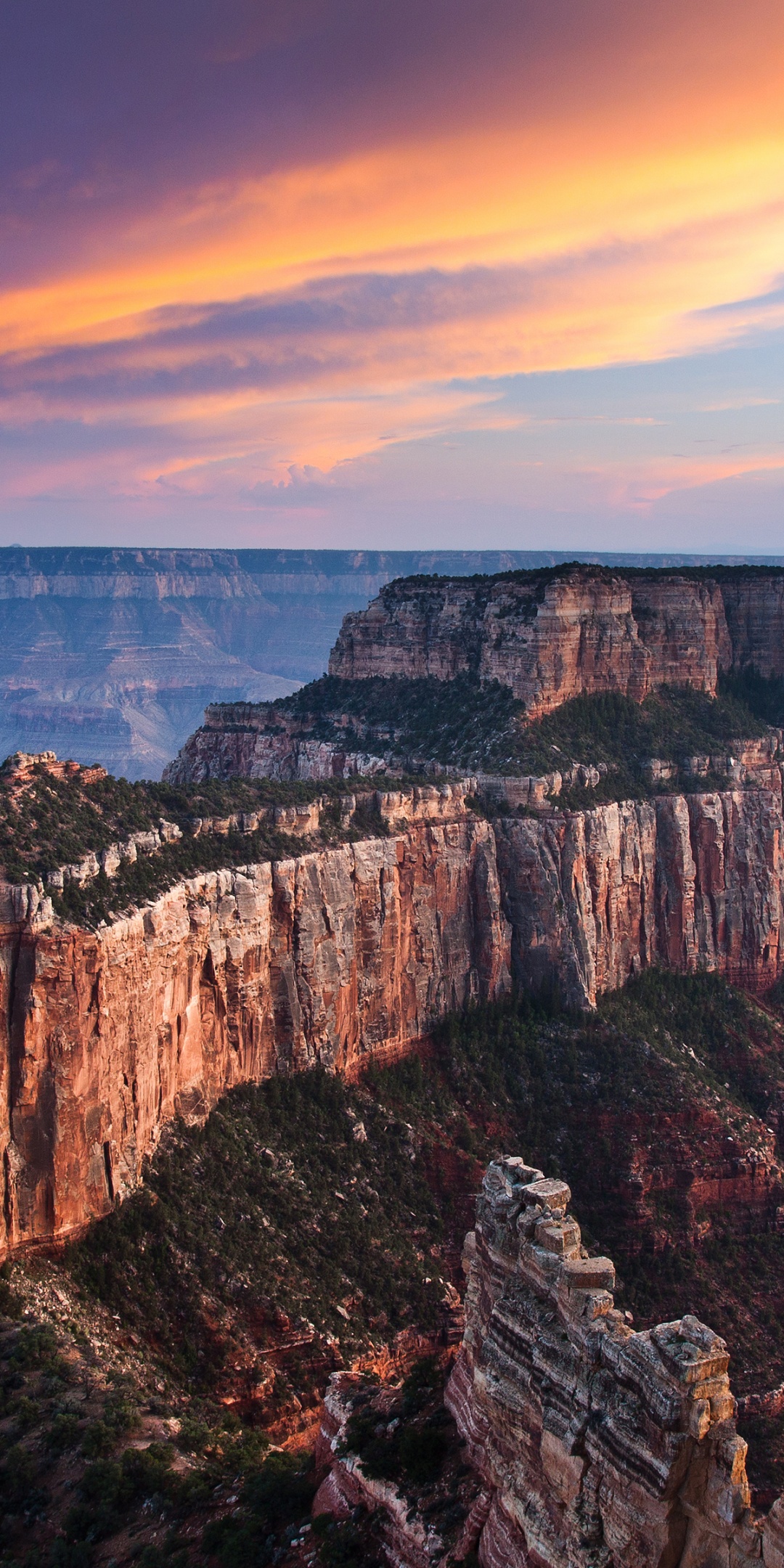 The Grand Canyon