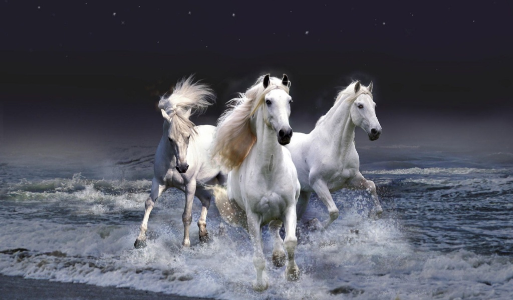 Three White Horses