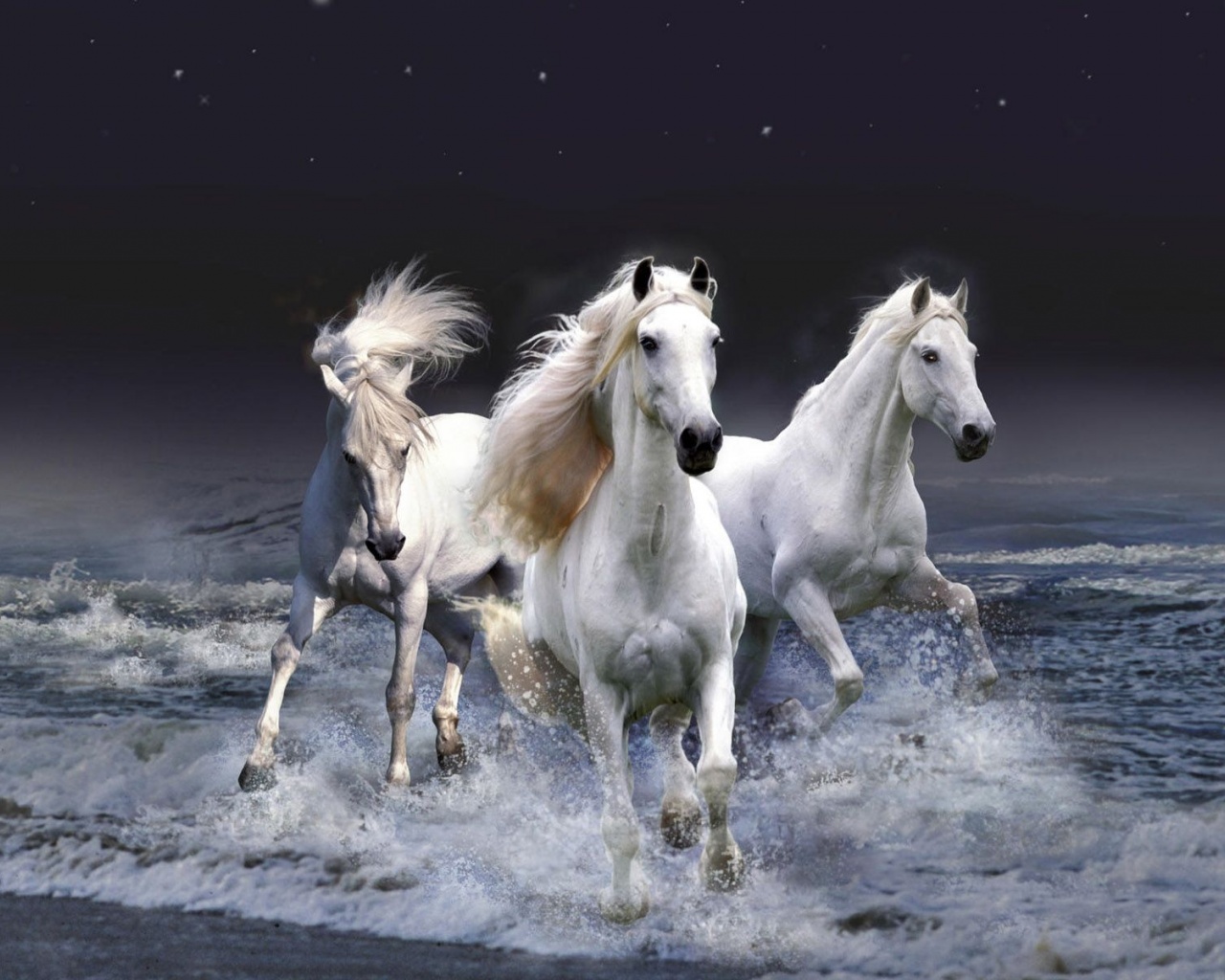 Three White Horses