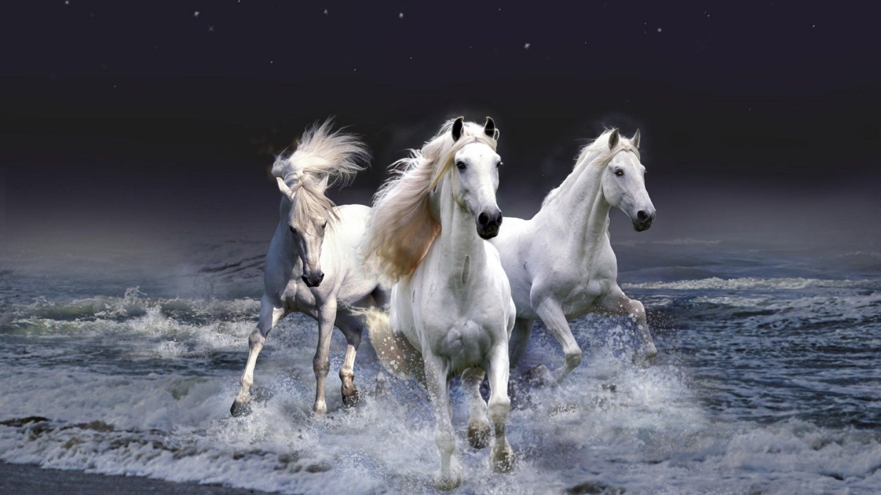 Three White Horses