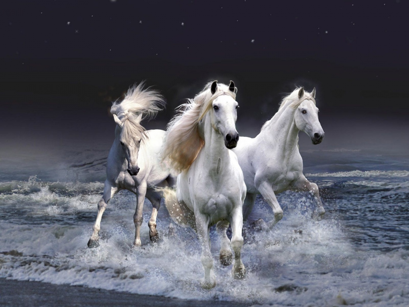 Three White Horses