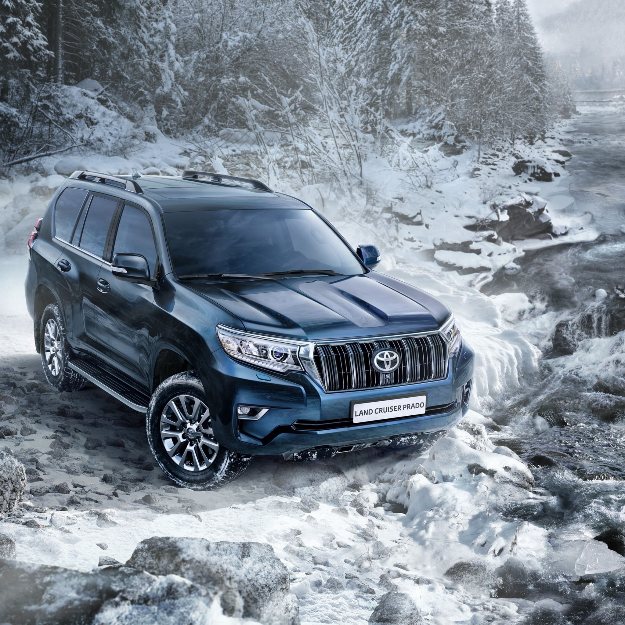 Toyota Land Cruiser Prado Snow