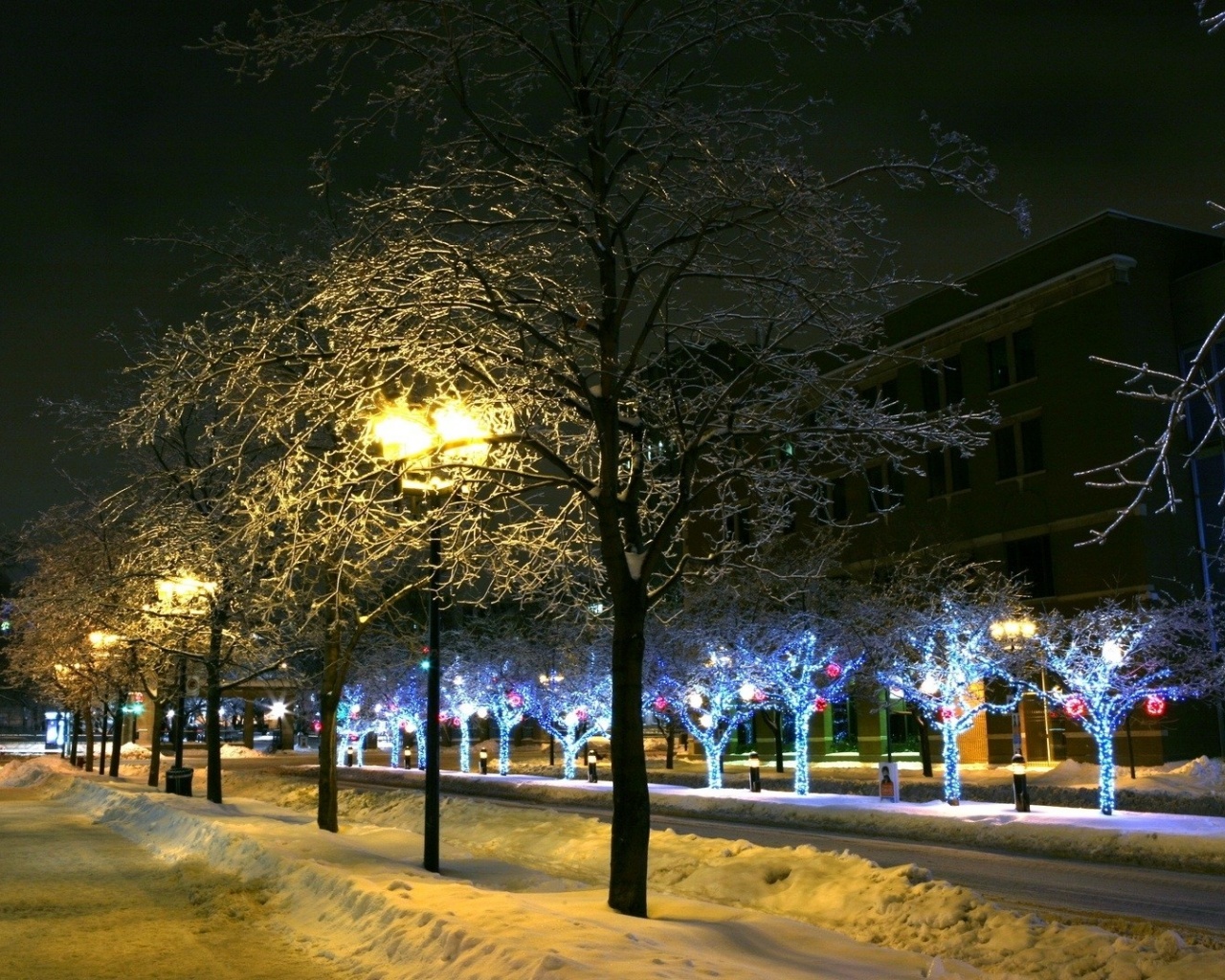 Trees Park Winter Ornament Decor Street Night City Landscape