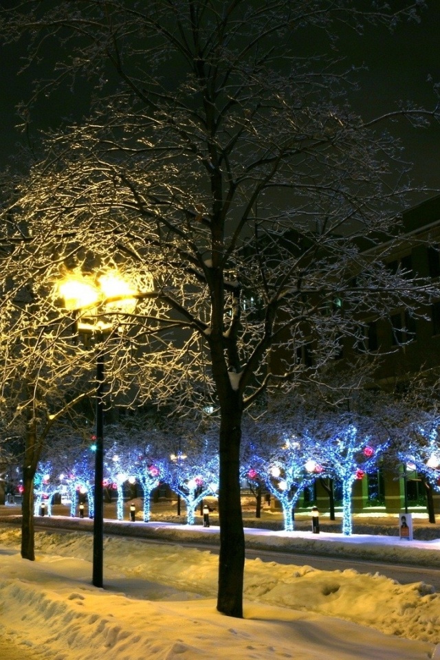 Trees Park Winter Ornament Decor Street Night City Landscape