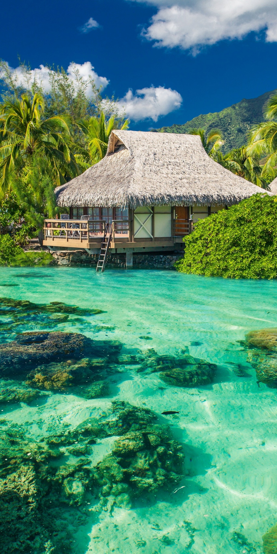 Tropical Seaside Cottages