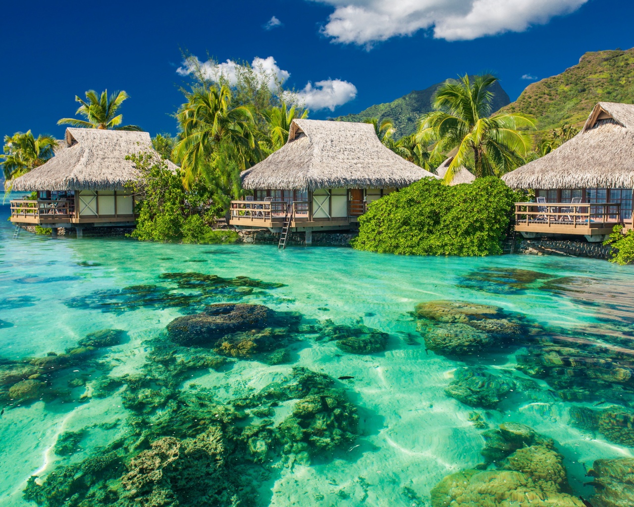 Tropical Seaside Cottages