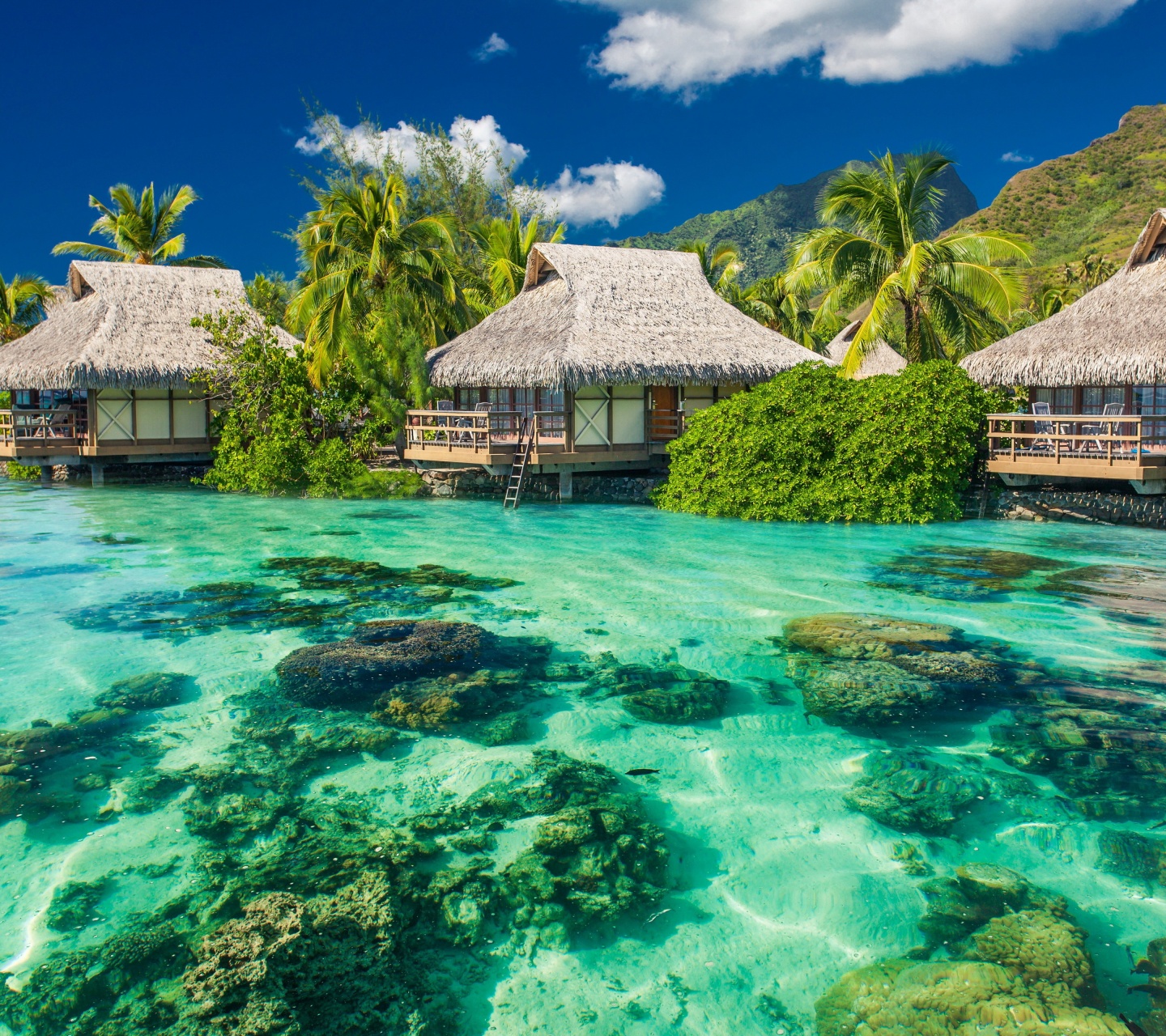 Tropical Seaside Cottages