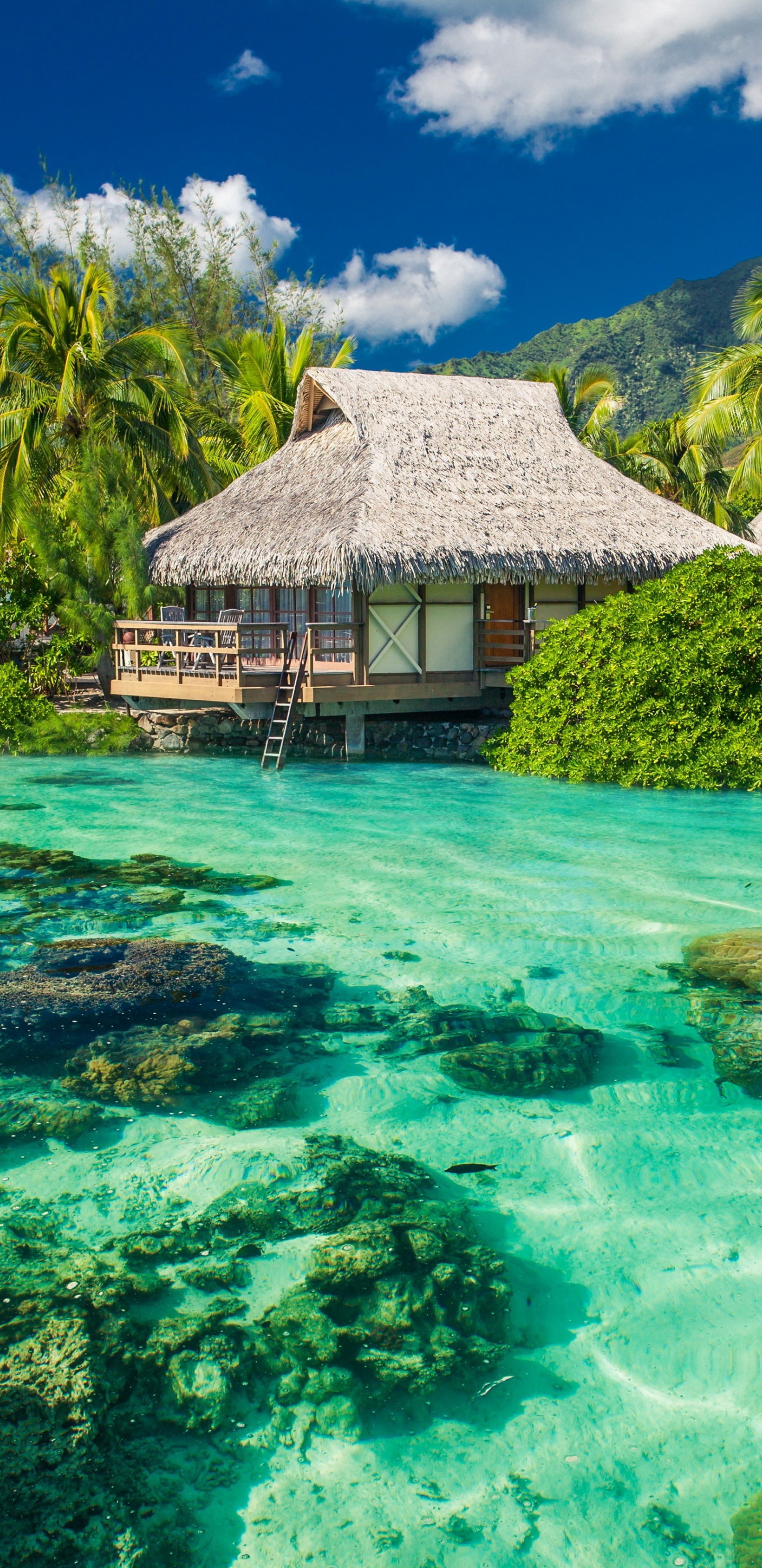 Tropical Seaside Cottages