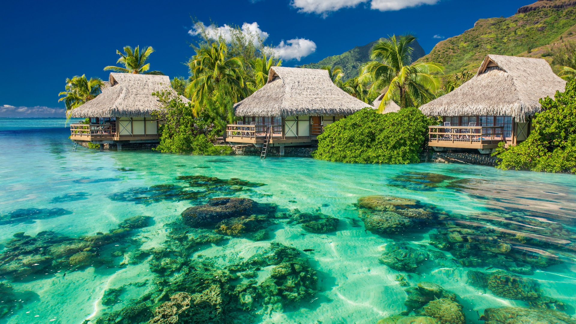 Tropical Seaside Cottages