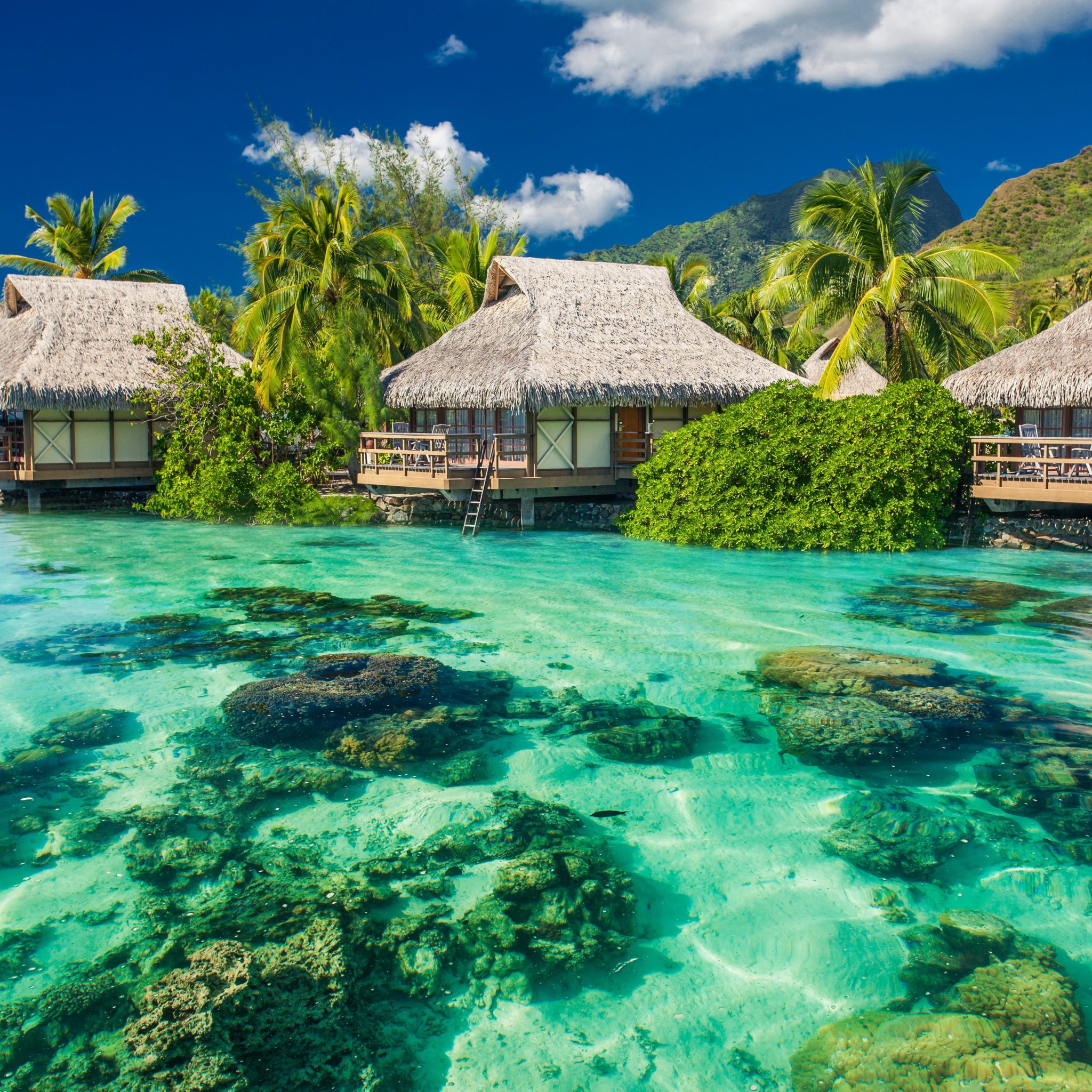 Tropical Seaside Cottages