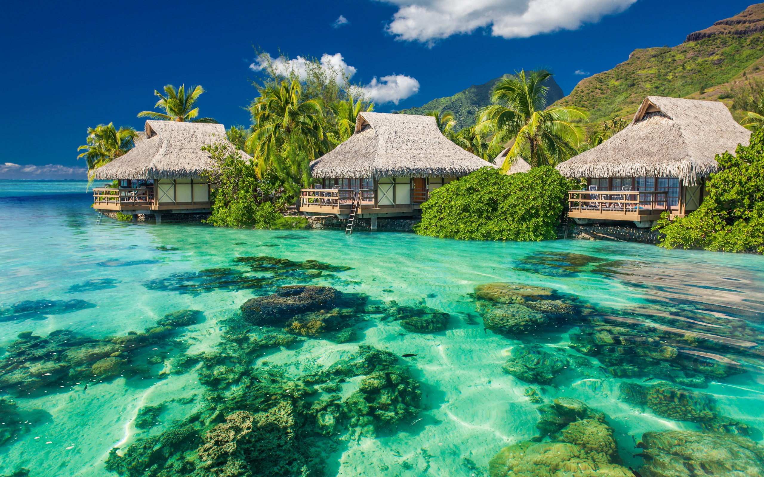 Tropical Seaside Cottages