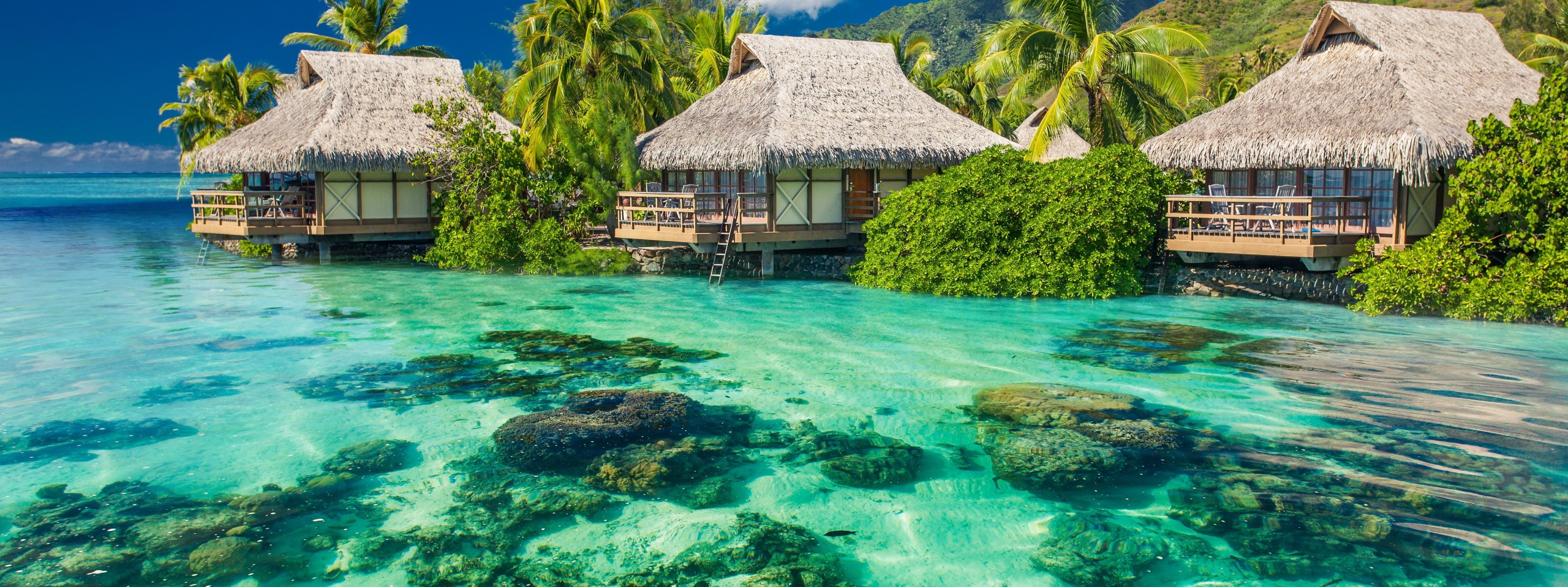 Tropical Seaside Cottages