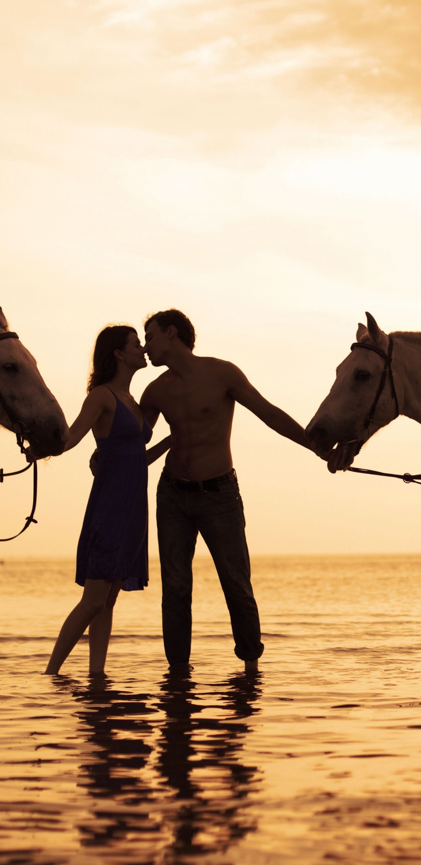 Valentines Day And Love
