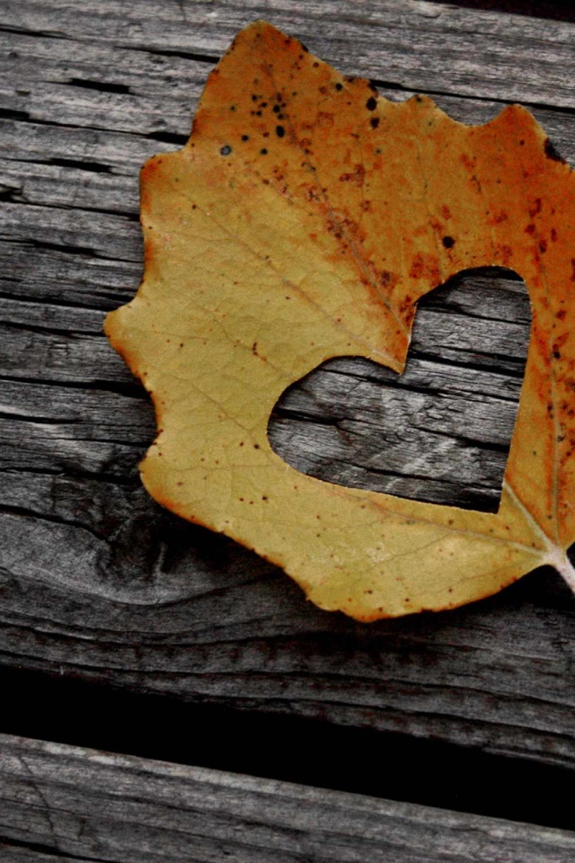 Valentines Day Leaf Heart