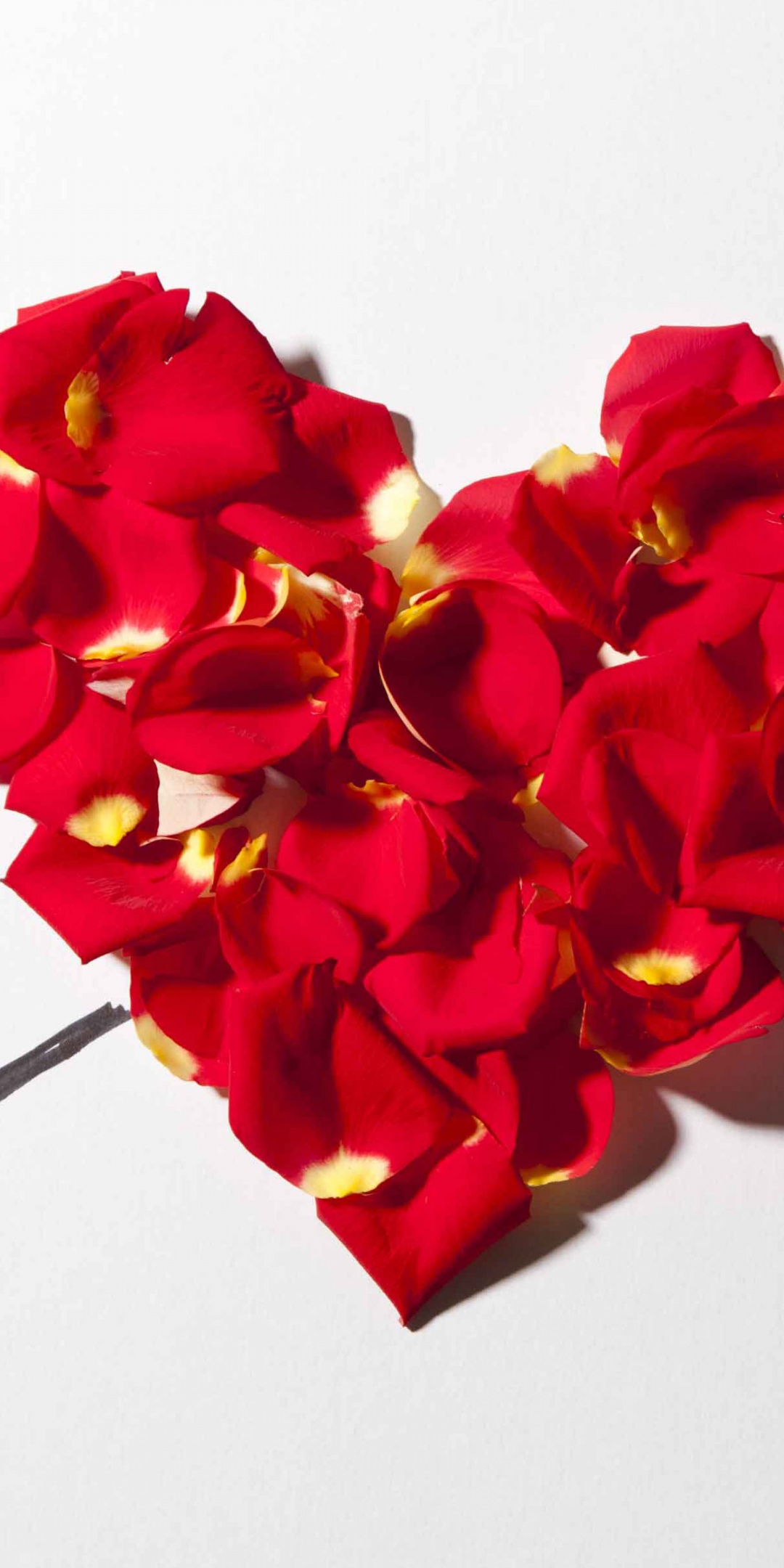 Valentines Day Petal Heart
