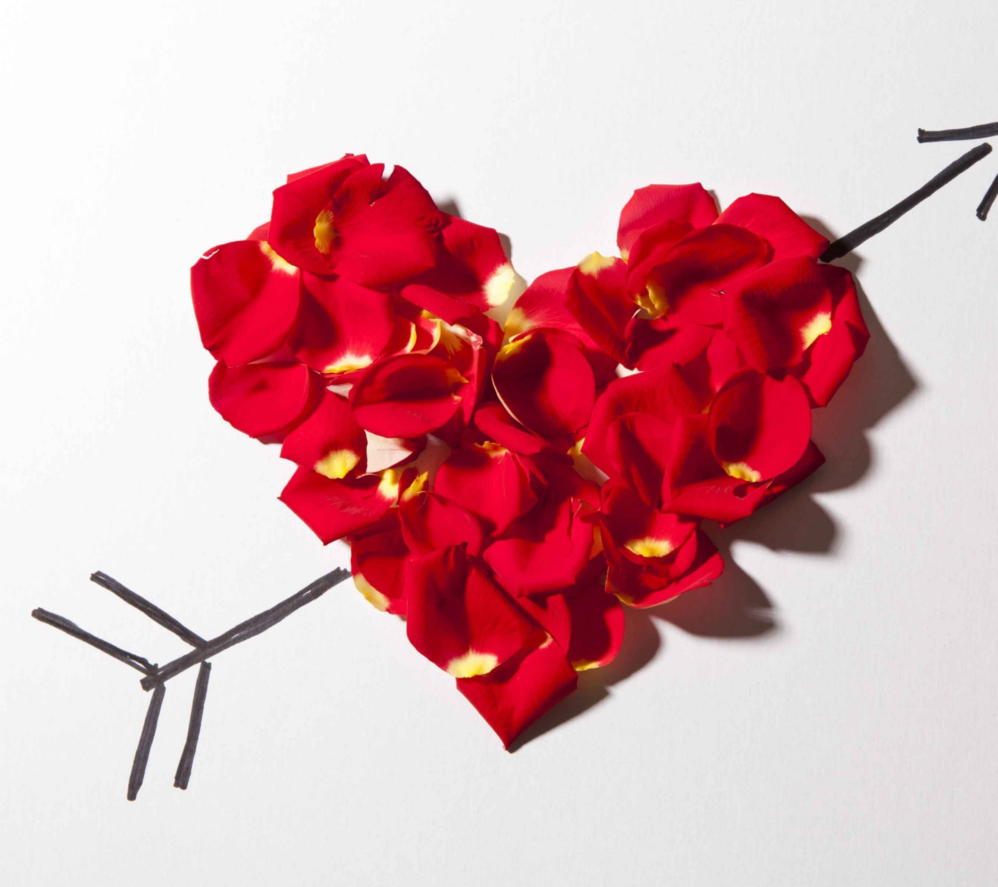 Valentines Day Petal Heart