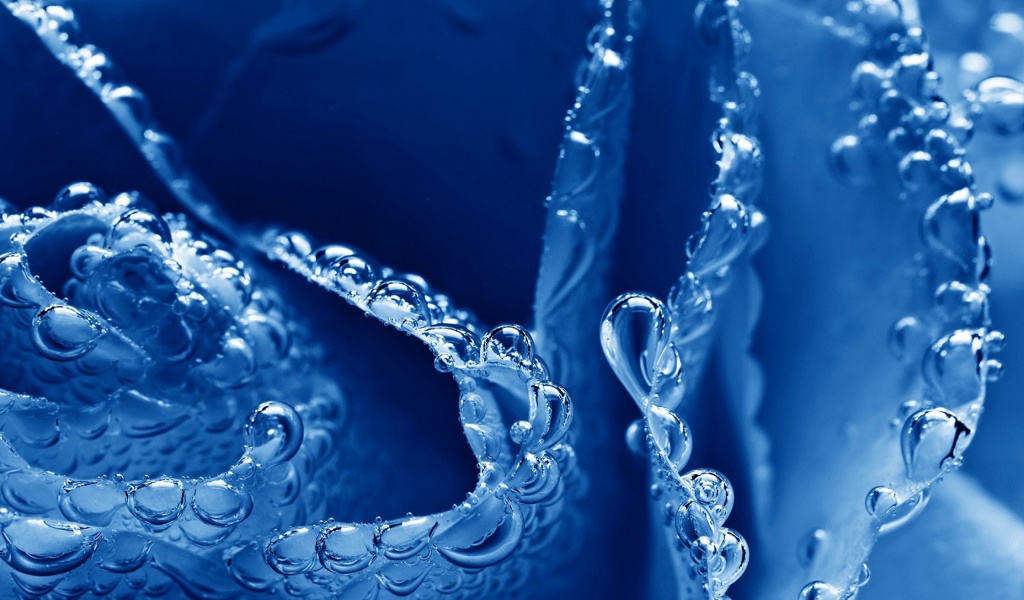 Water Blue Bubbles Macro