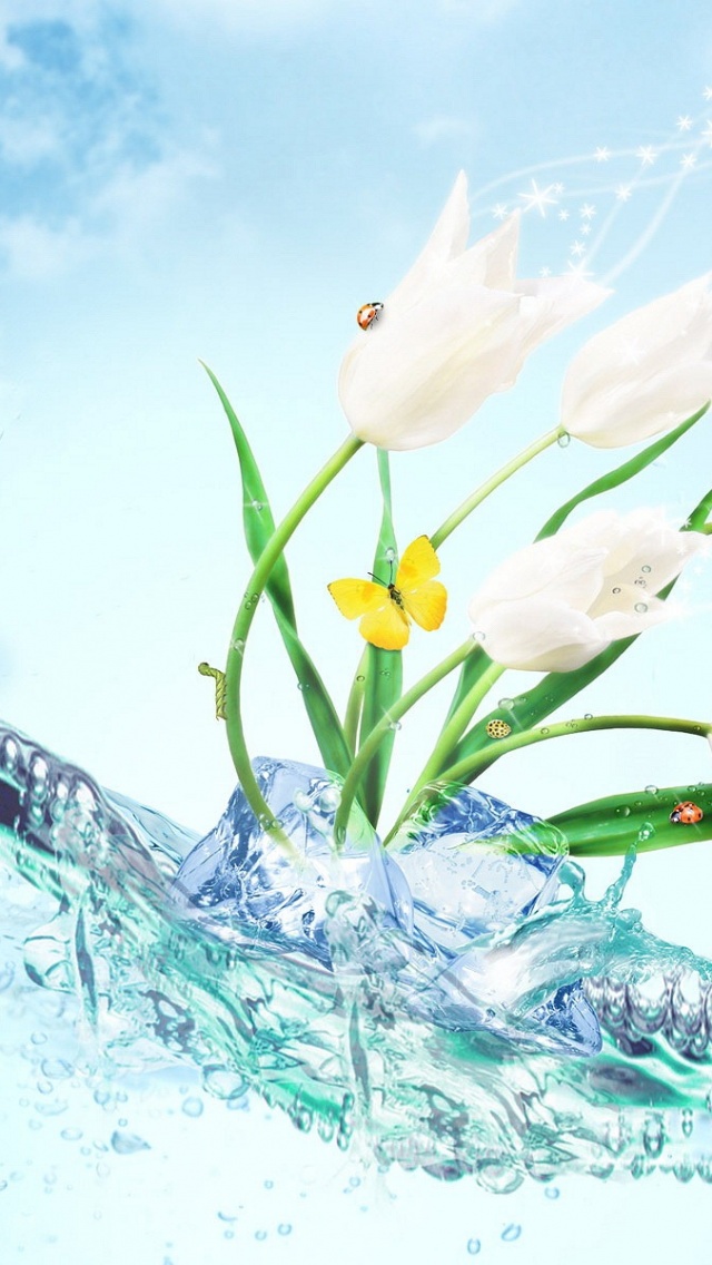 Water Tulip Desktop Wallpaper