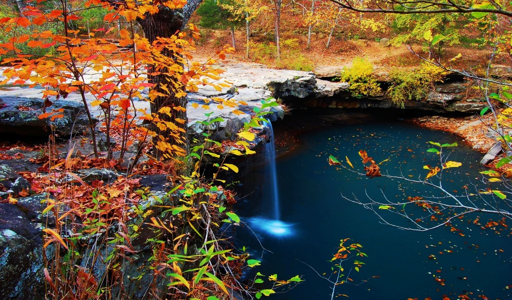 Waterfall Creek Autumn Leaves