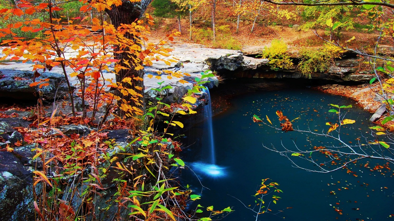 Waterfall Creek Autumn Leaves