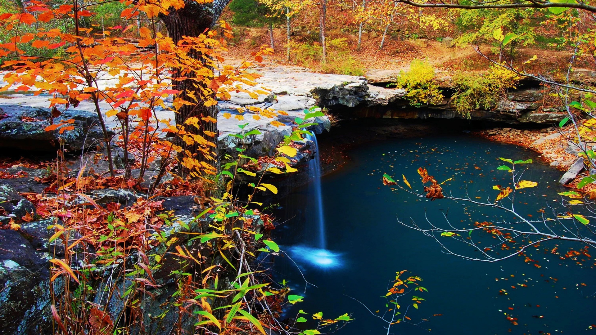 Waterfall Creek Autumn Leaves