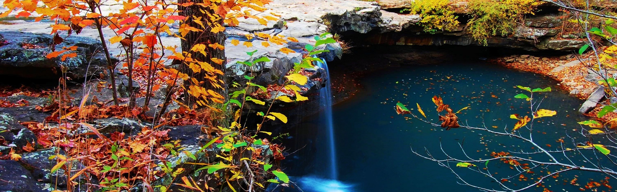 Waterfall Creek Autumn Leaves