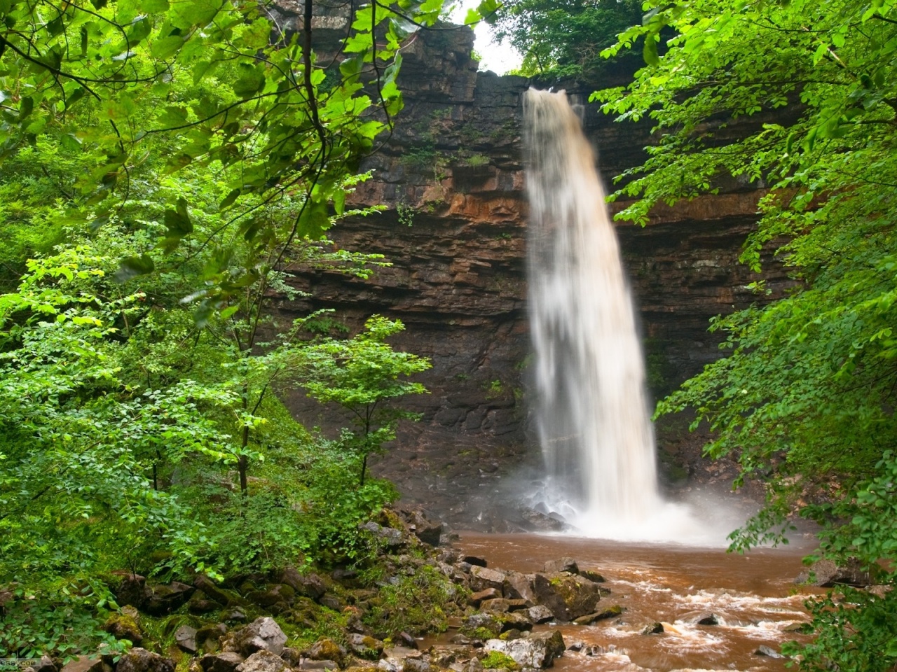 Waterfall Green Leaves Scenic Nature