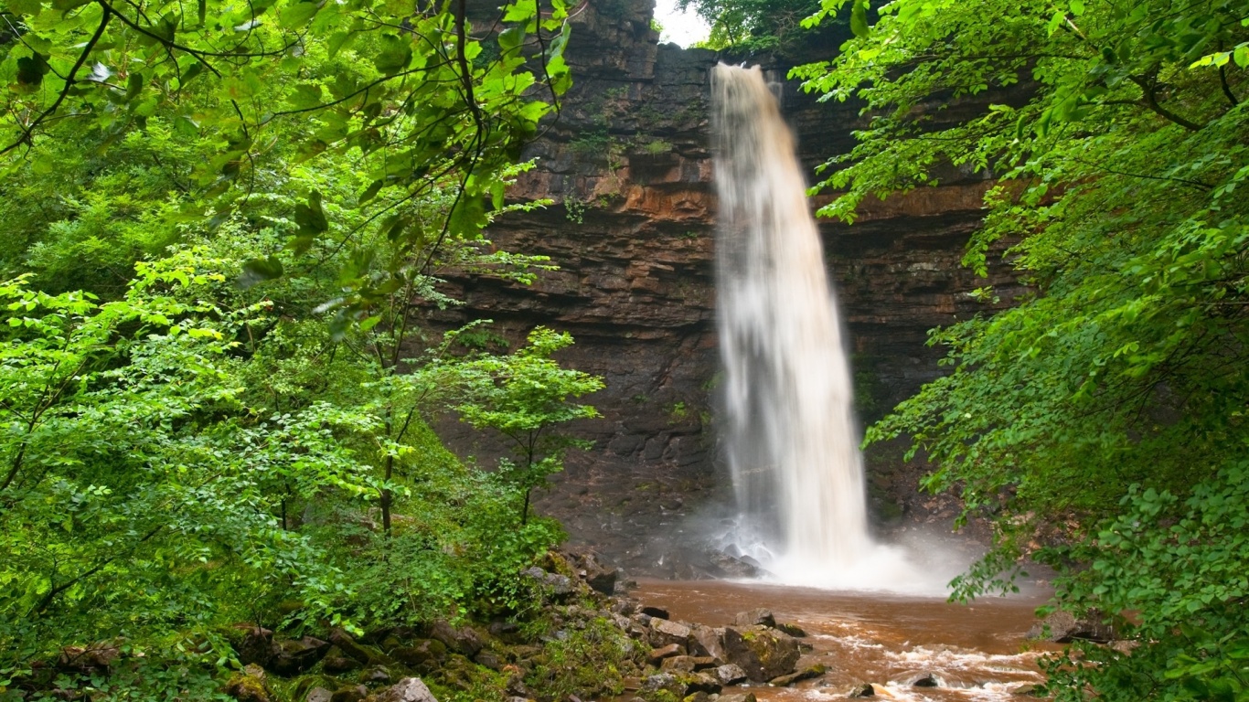 Waterfall Green Leaves Scenic Nature