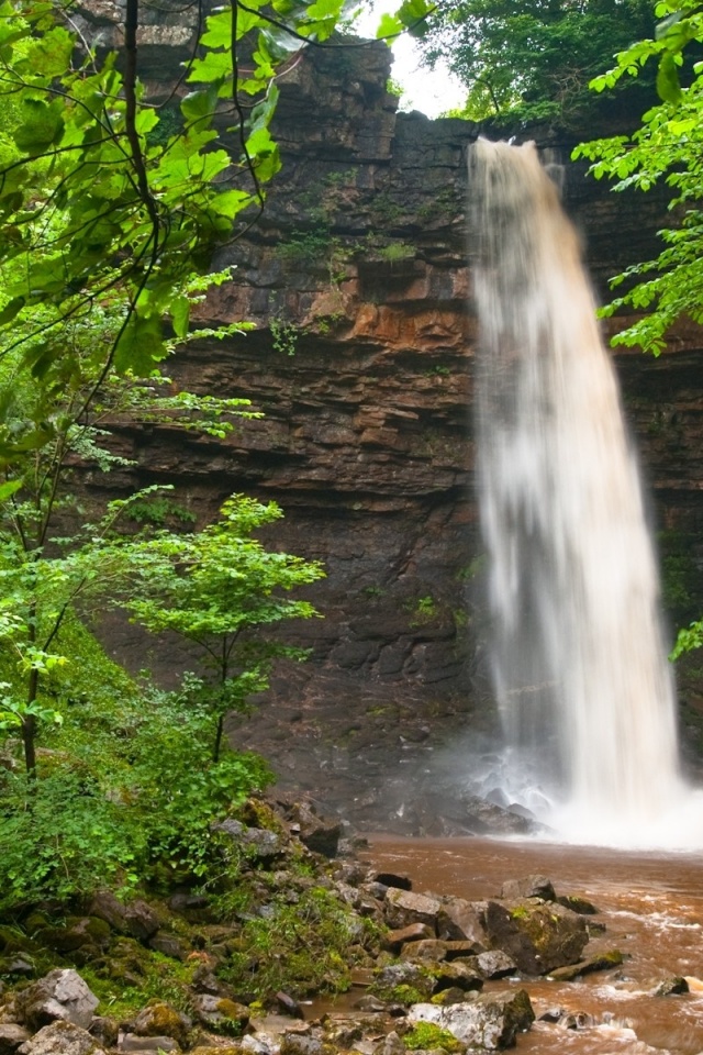 Waterfall Green Leaves Scenic Nature