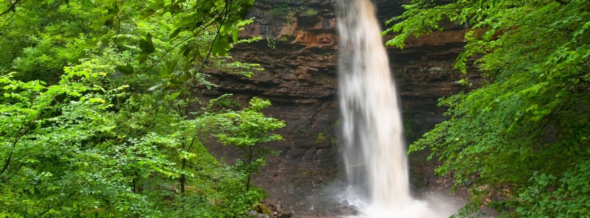 Waterfall Green Leaves Scenic Nature