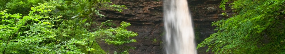 Waterfall Green Leaves Scenic Nature