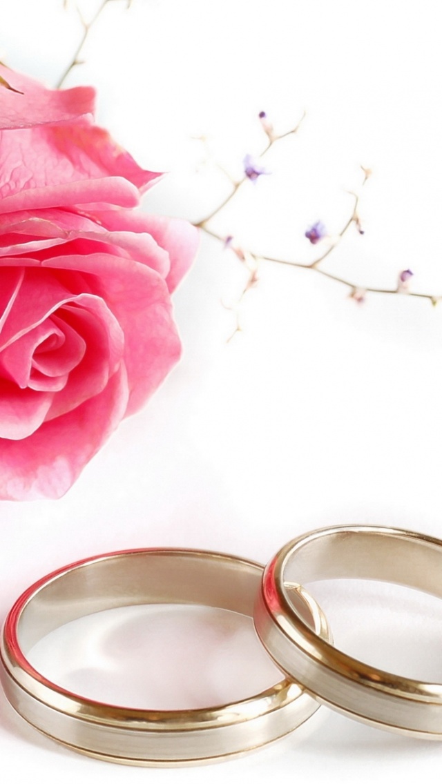 Wedding Rings Rose