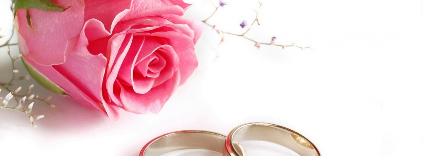 Wedding Rings Rose