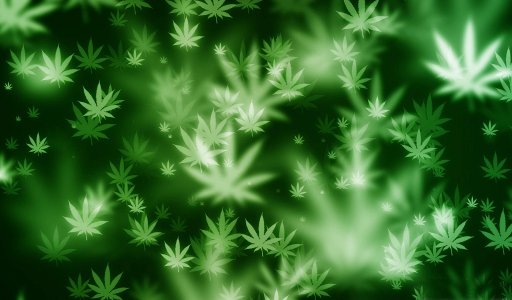 Weed Bokeh