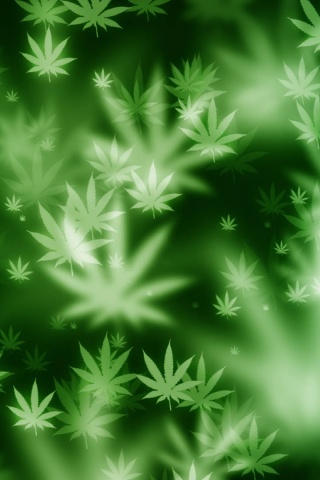 Weed Bokeh