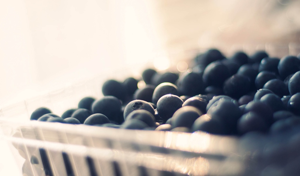 Wild Berries
