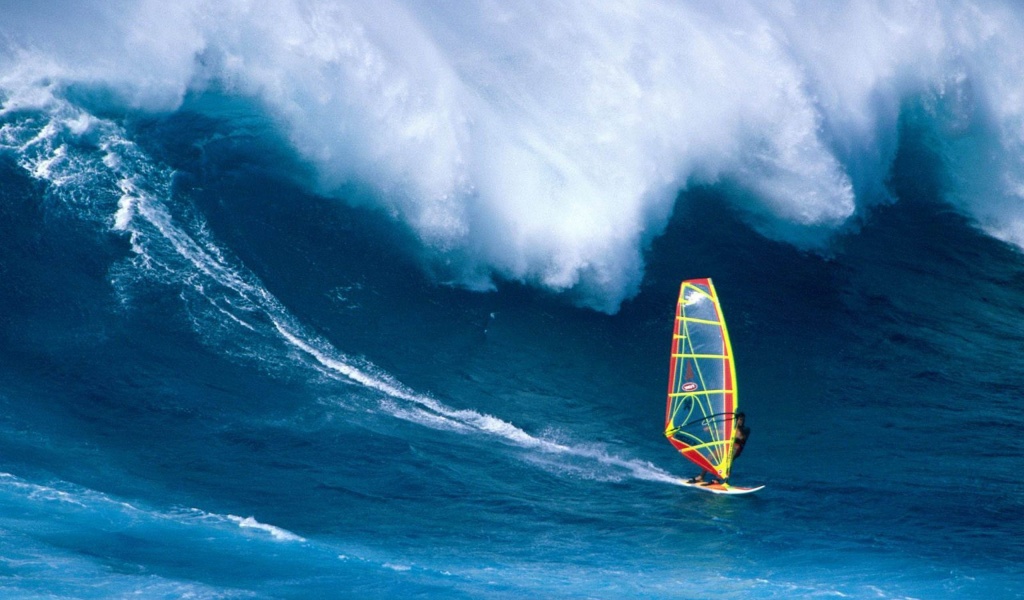 Wind Surfing Surfer