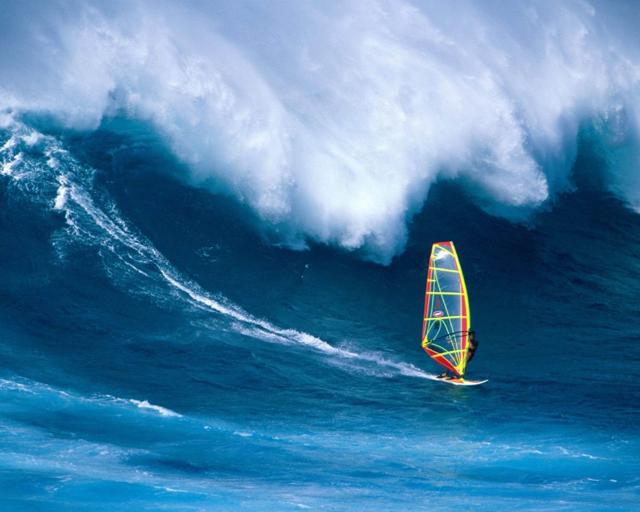 Wind Surfing Surfer