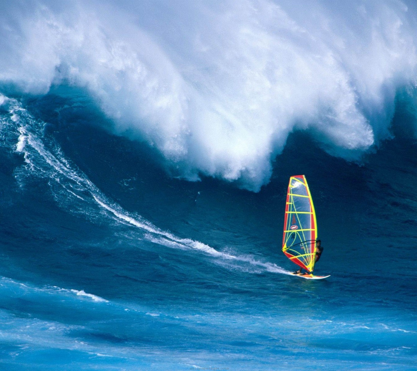 Wind Surfing Surfer