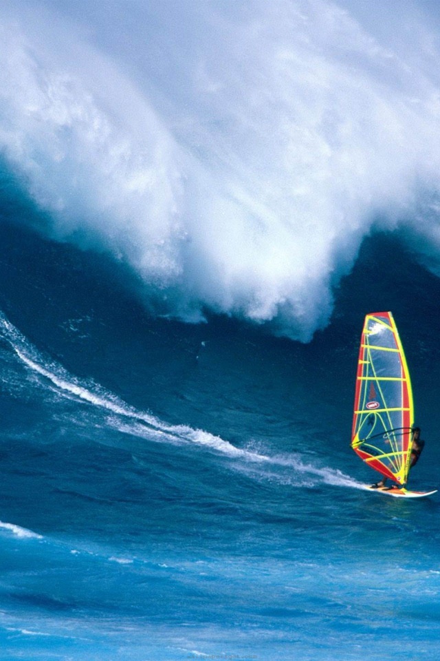 Wind Surfing Surfer