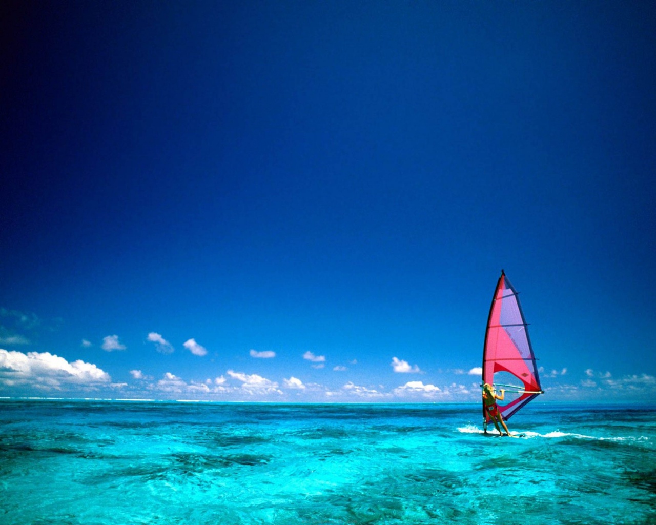 Wind Surfing Surfer Bora Bora Island