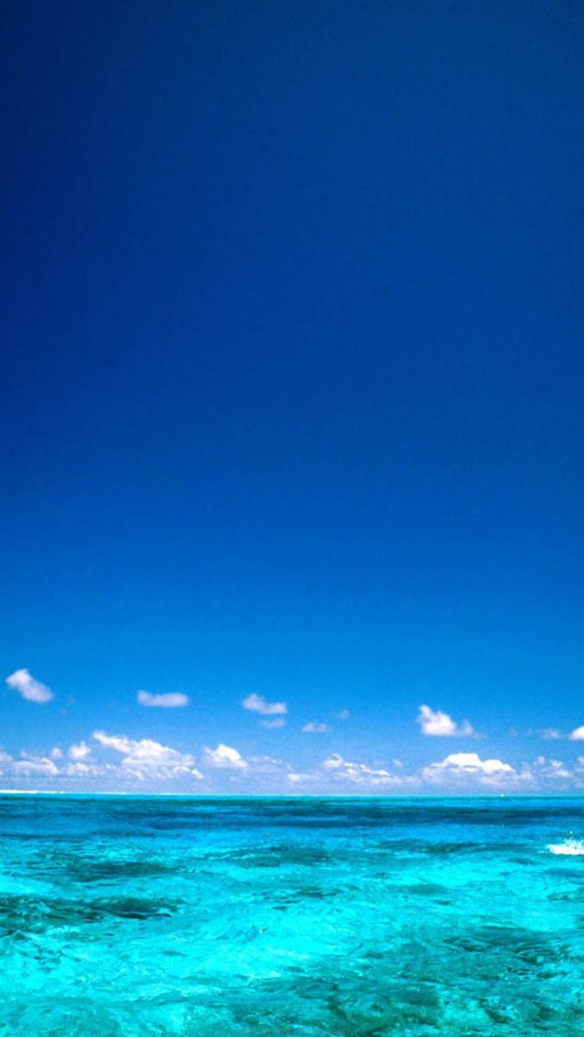 Wind Surfing Surfer Bora Bora Island