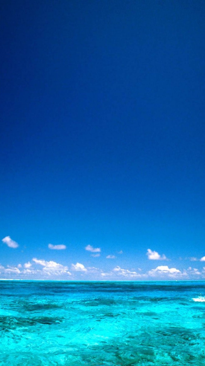 Wind Surfing Surfer Bora Bora Island