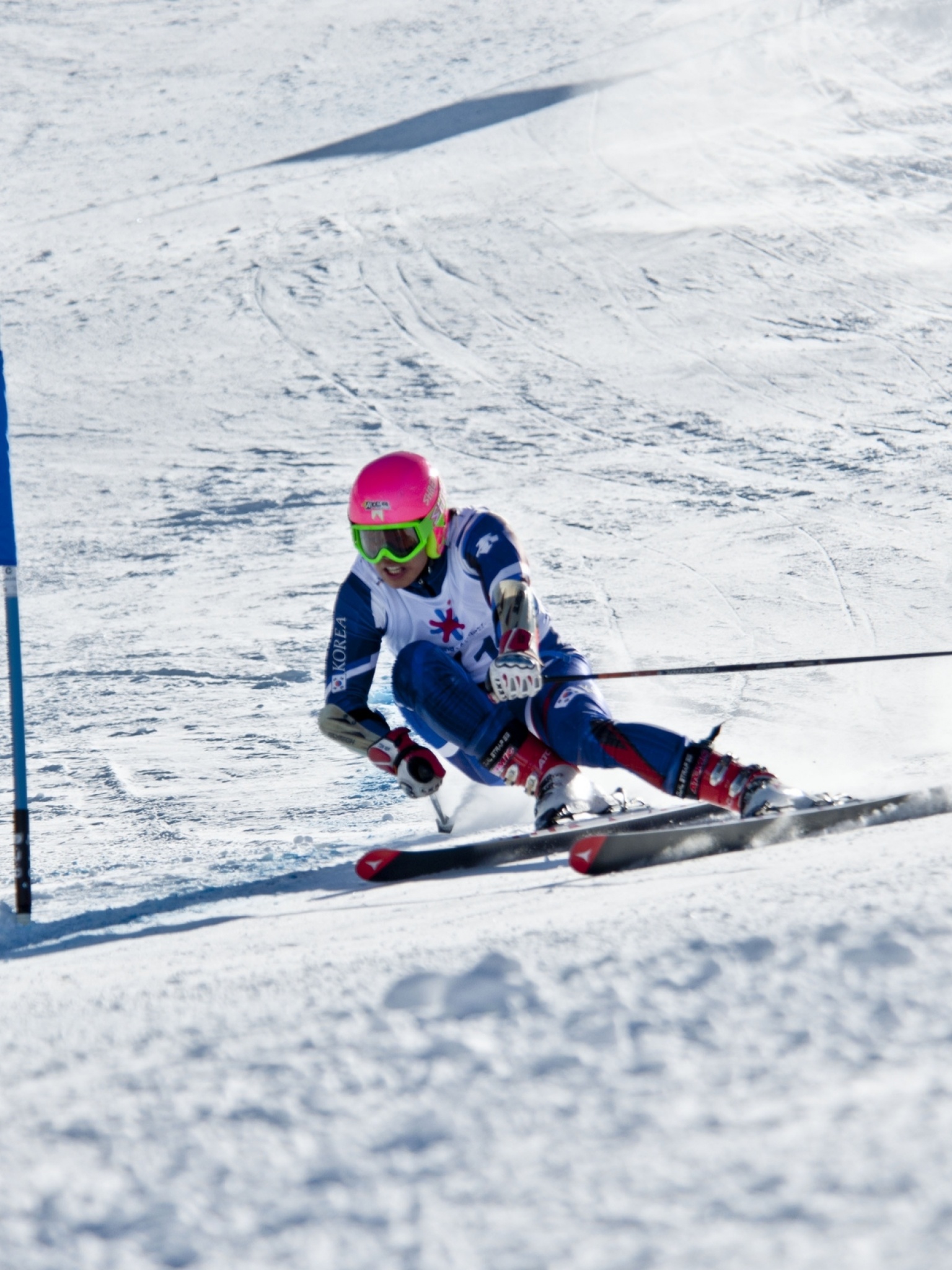 Winter Mountains Skiing